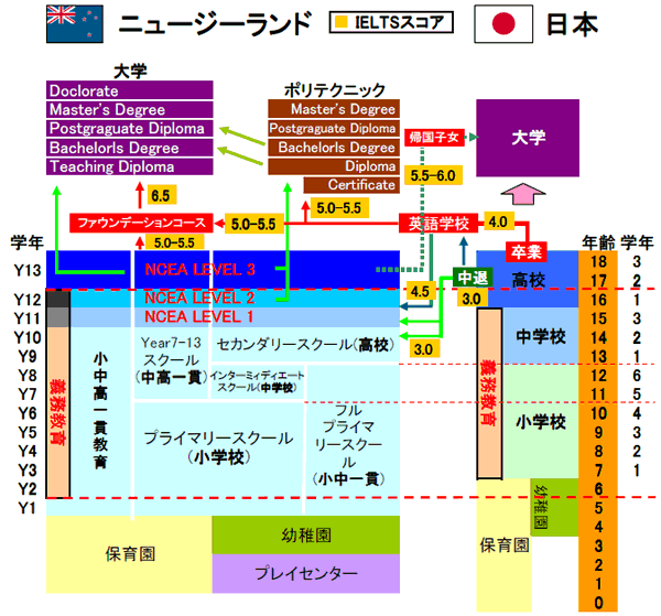 ニュージーランドと日本の教育システムの違い